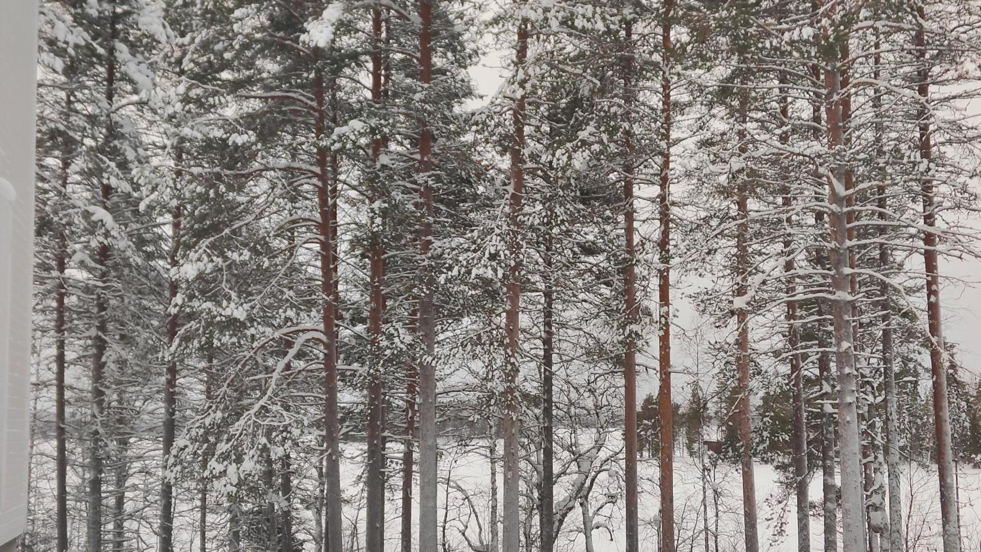 Royal Reindeer Lakeside Apartments Rovaniemi Dış mekan fotoğraf